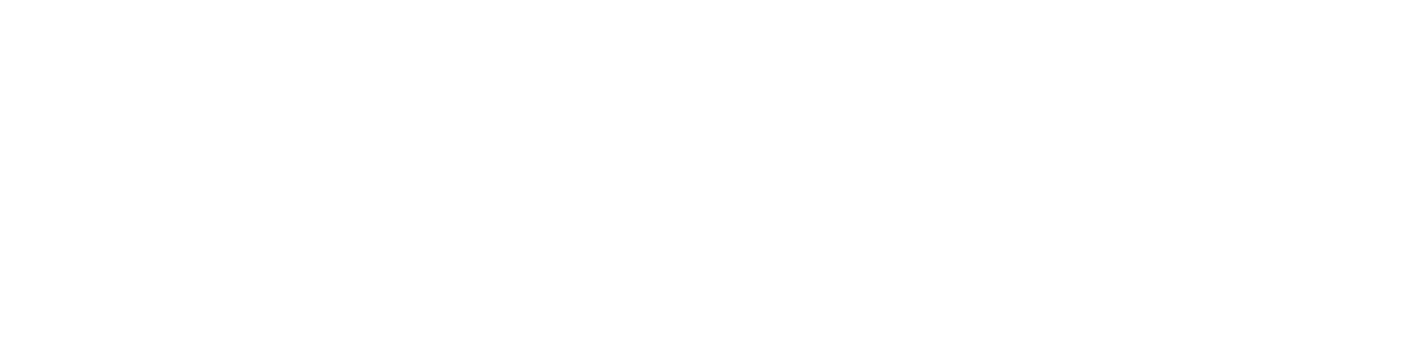 logo tflow branca